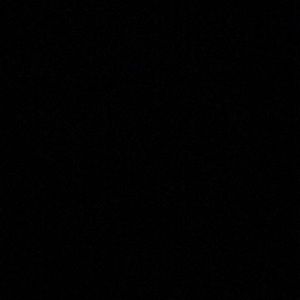 Meet your Posher, Ava